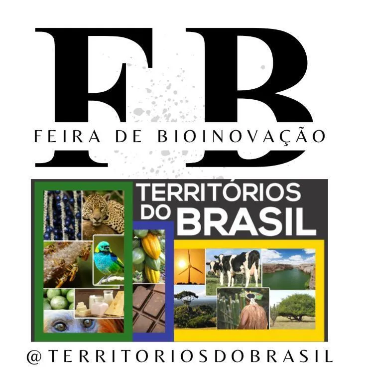 /apidata/imgcache/0193b6fee4f5436ebca3749227752813.webp?banner=postcol4&when=1777553264&who=257