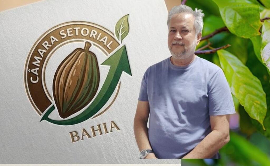 Bahia fortalece cacauicultura com ações estratégicas e apoio ao produtor rural