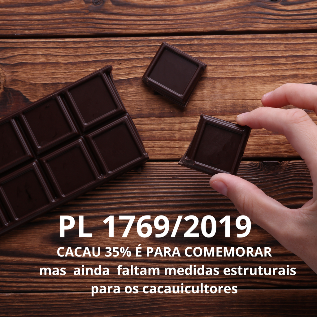 CACAU 35%: avanço histórico, mas produtores ainda cobram medidas estruturais para viabilidade do setor