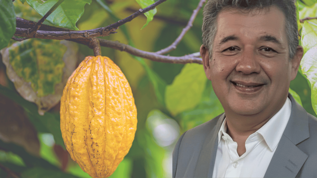 O cenário sociopolítico do setor cacau-chocolate da Bahia