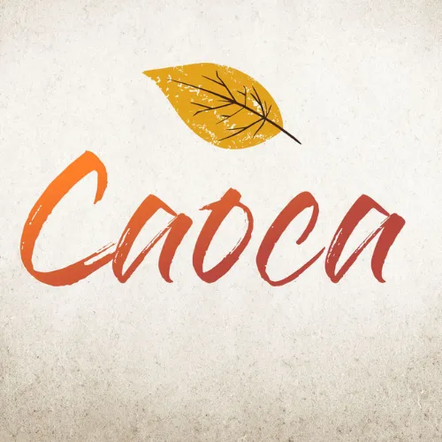 /apidata/imgcache/6a836d46691829fbf7faee99f9102131.webp?banner=postcol4&when=1777559855&who=257