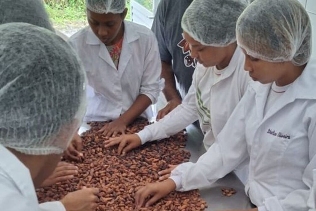 Cacau além do chocolate: pesquisa na Bahia transforma resíduos em bioprodutos e aponta novo modelo de bioeconomia